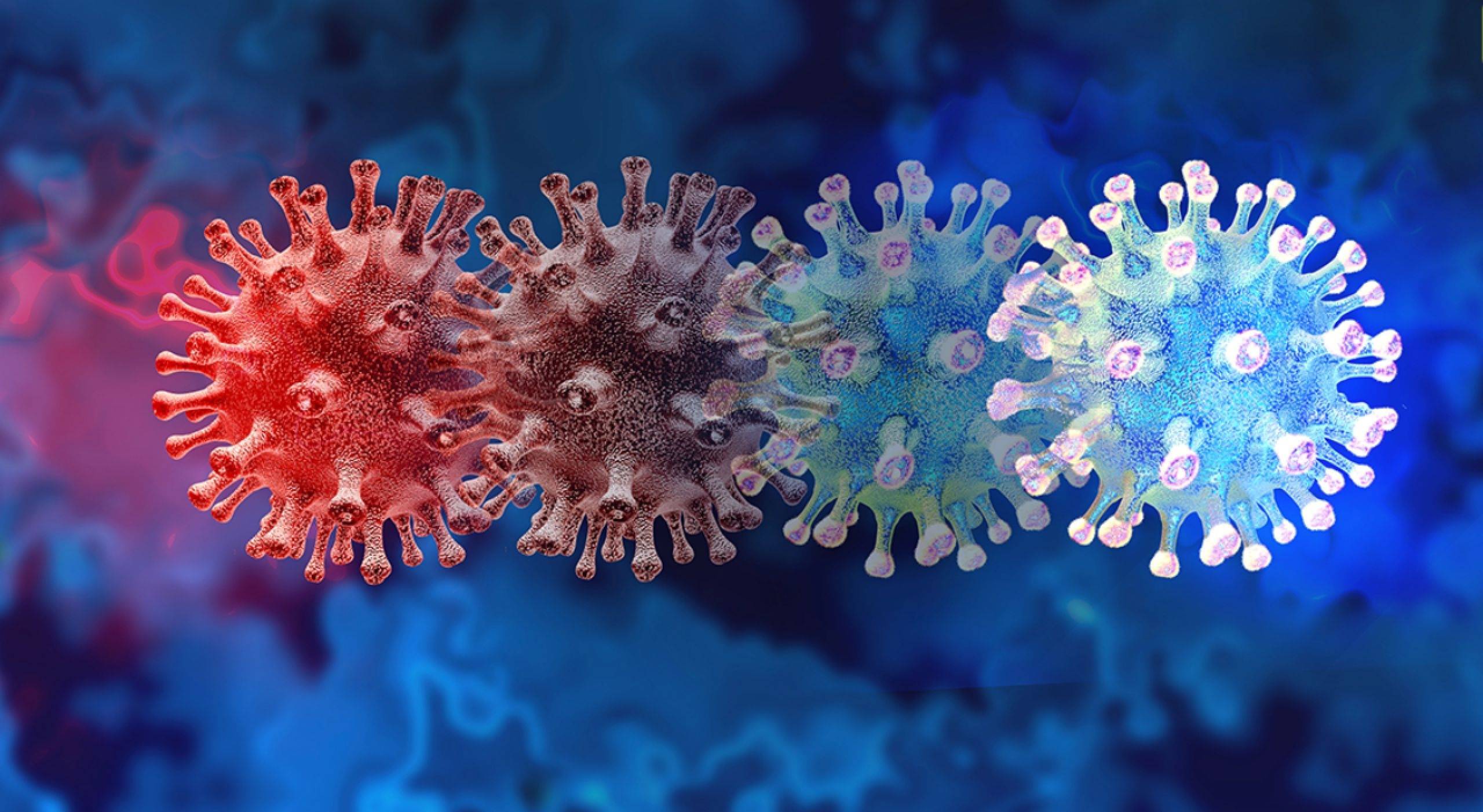 ����� -jinnianhui | jinnian