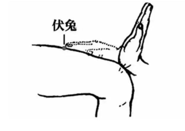 ����� -jinnianhui | jinnian