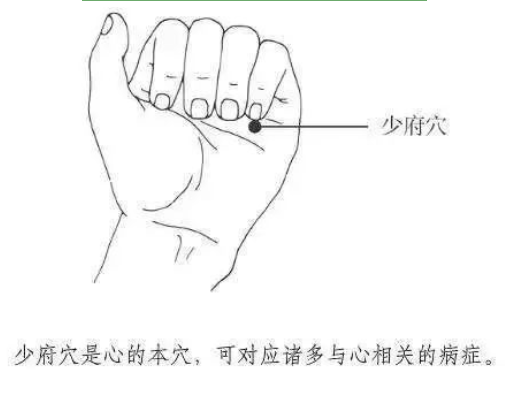 ����� -jinnianhui | jinnian