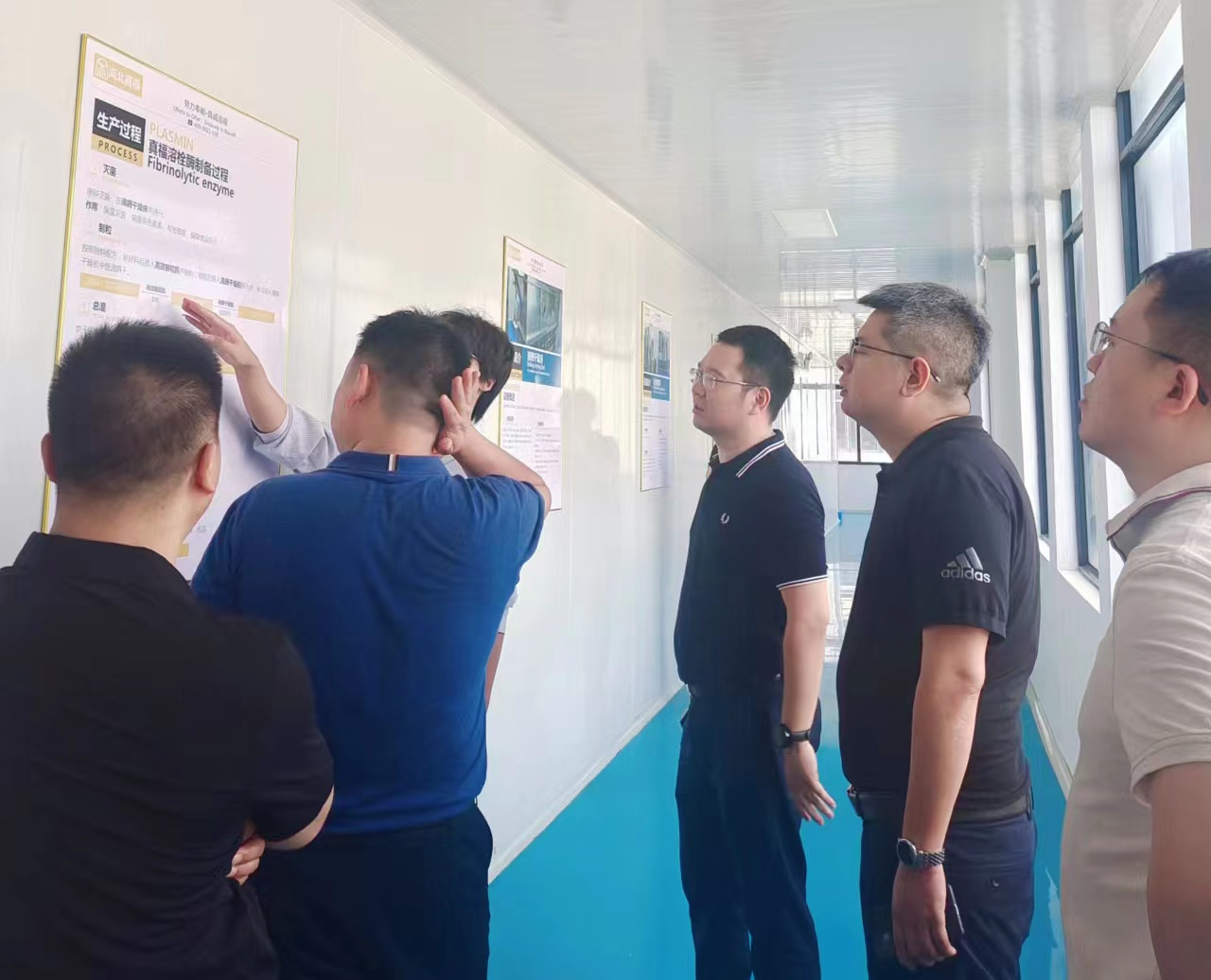 ����� -jinnianhui | jinnian