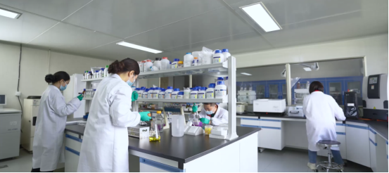 ����� -jinnianhui | jinnian