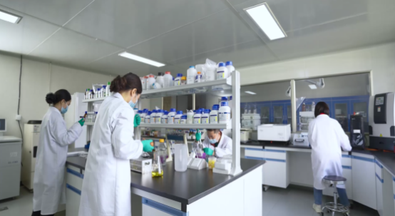 ����� -jinnianhui | jinnian