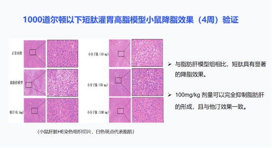����� -jinnianhui | jinnian