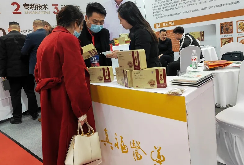 ����� -jinnianhui | jinnian