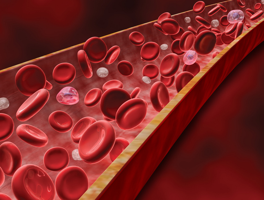 ����� -jinnianhui | jinnian